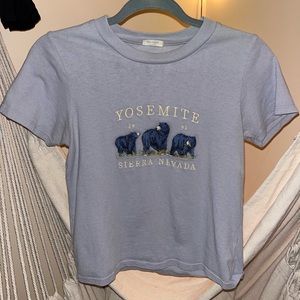 Cropped blue Brandy Melville t-shirt